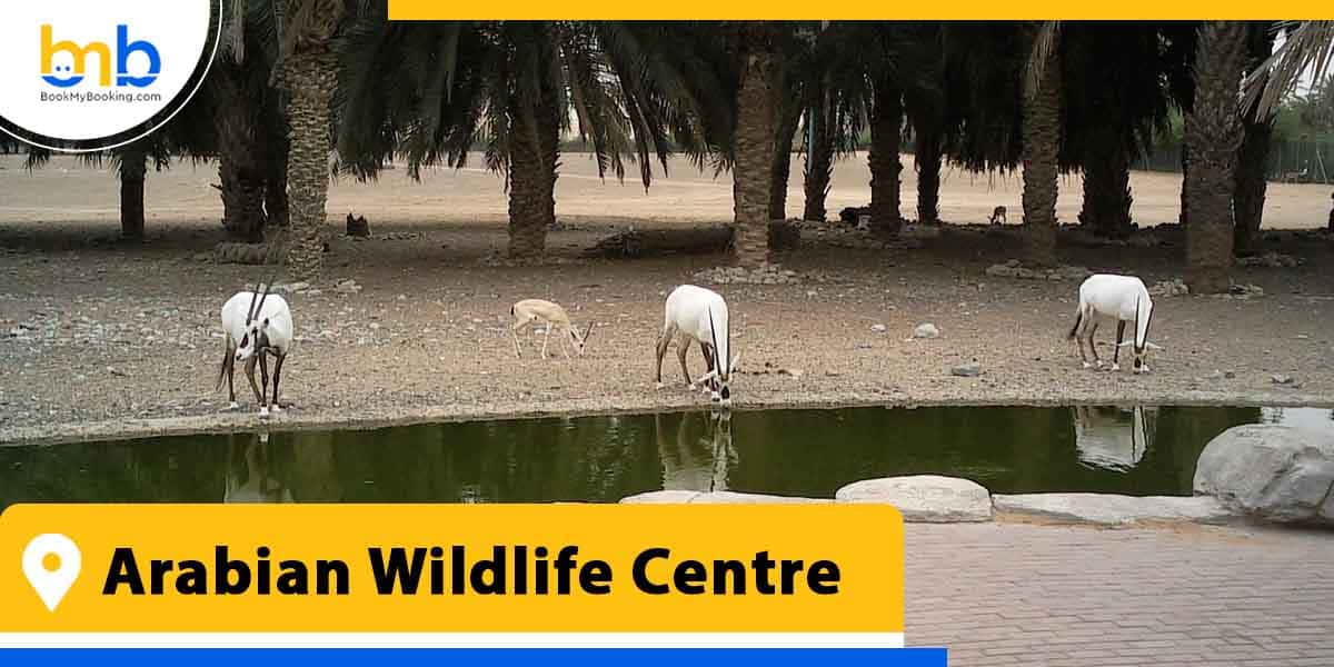 arabian wildlife centre from bookmybooking