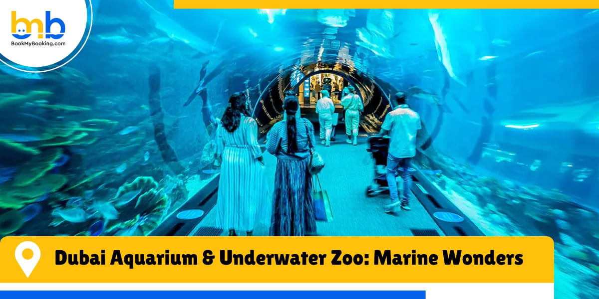 dubai aquarium underwater zoo marine wonders from bookmybooking