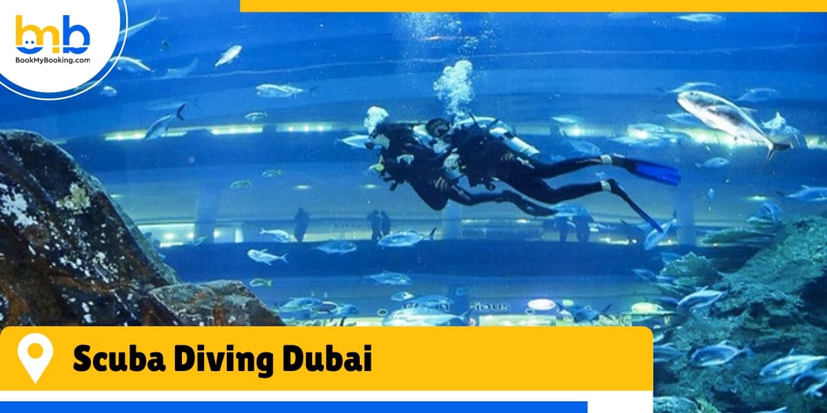 scuba diving dubai from bookmybooking