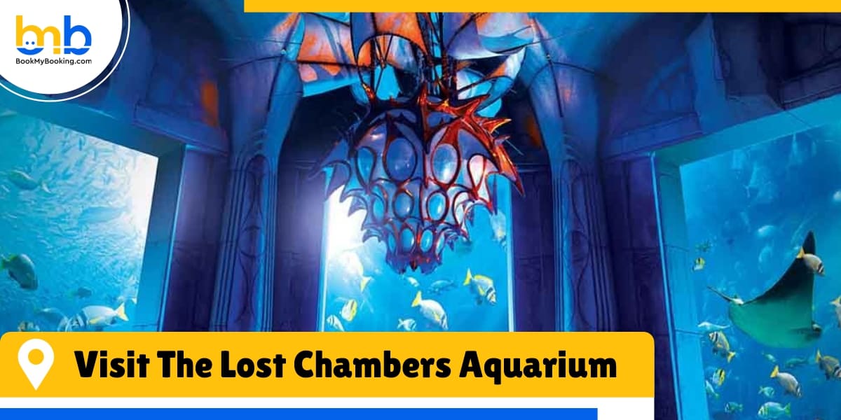 visit the lost chambers aquarium from bookmybooking