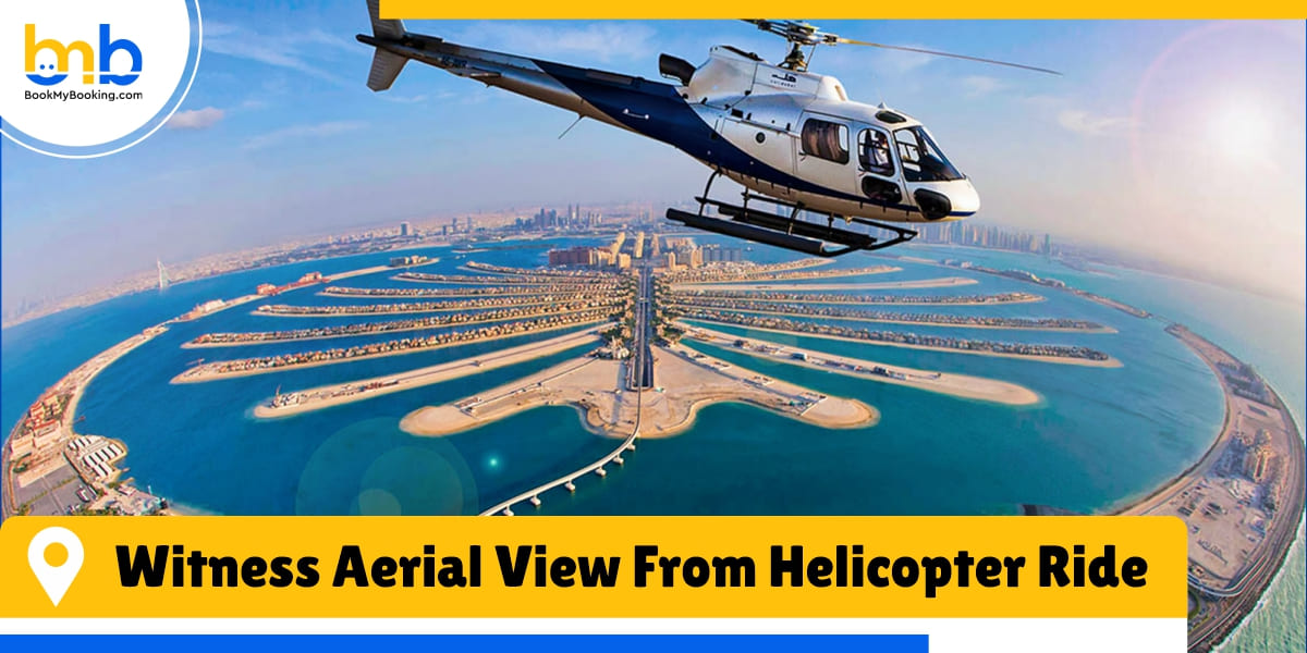 witness aerial view from helicopter ride from bookmybooking