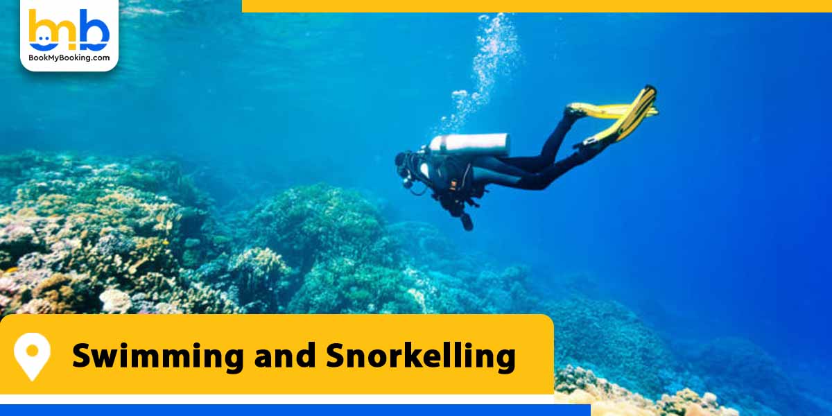 swimming and snorkelling from bookmybooking