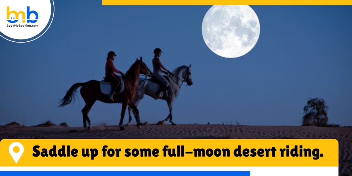 saddle up for some full moon desert riding from bookmybooking