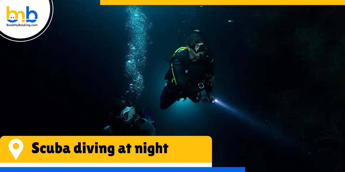 scuba diving at night from bookmybooking