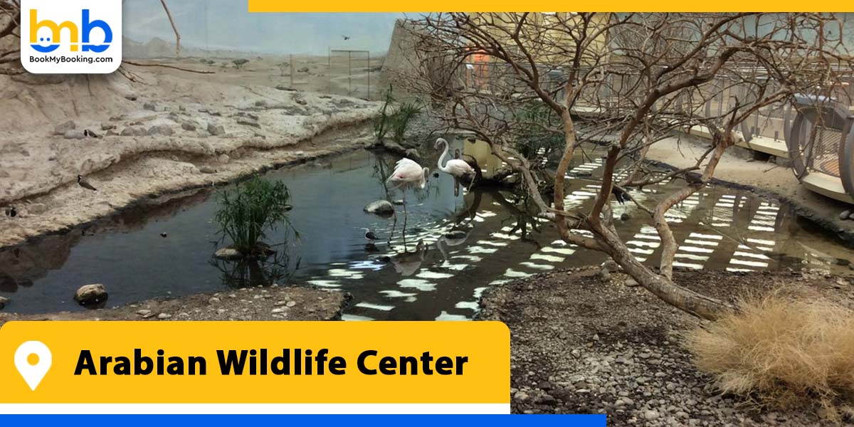 arabian wildlife center from bookmybooking