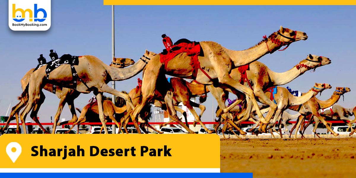 sharjah desert park from bookmybooking