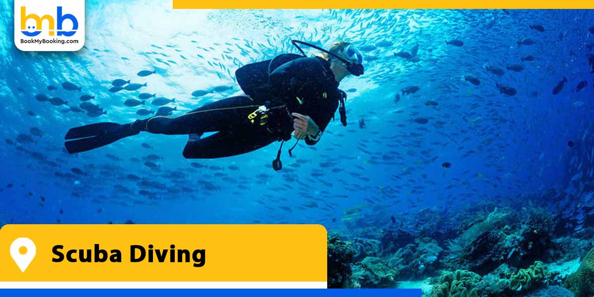 scuba diving from bookmybooking