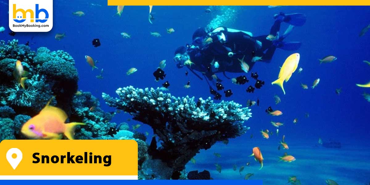 snorkeling from bookmybooking