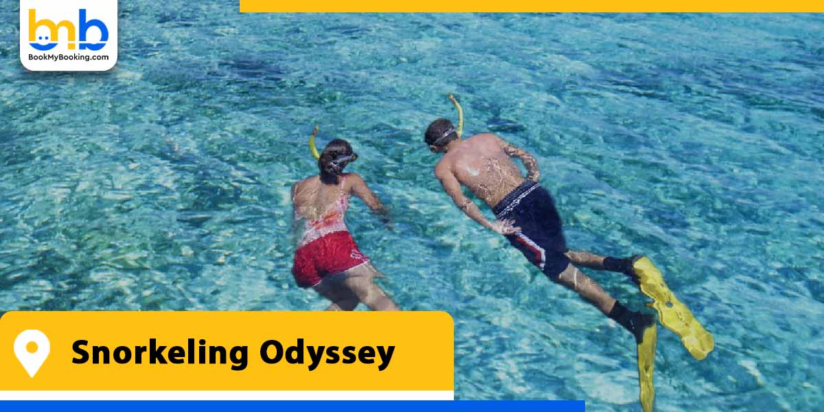 snorkeling odyssey from bookmybooking