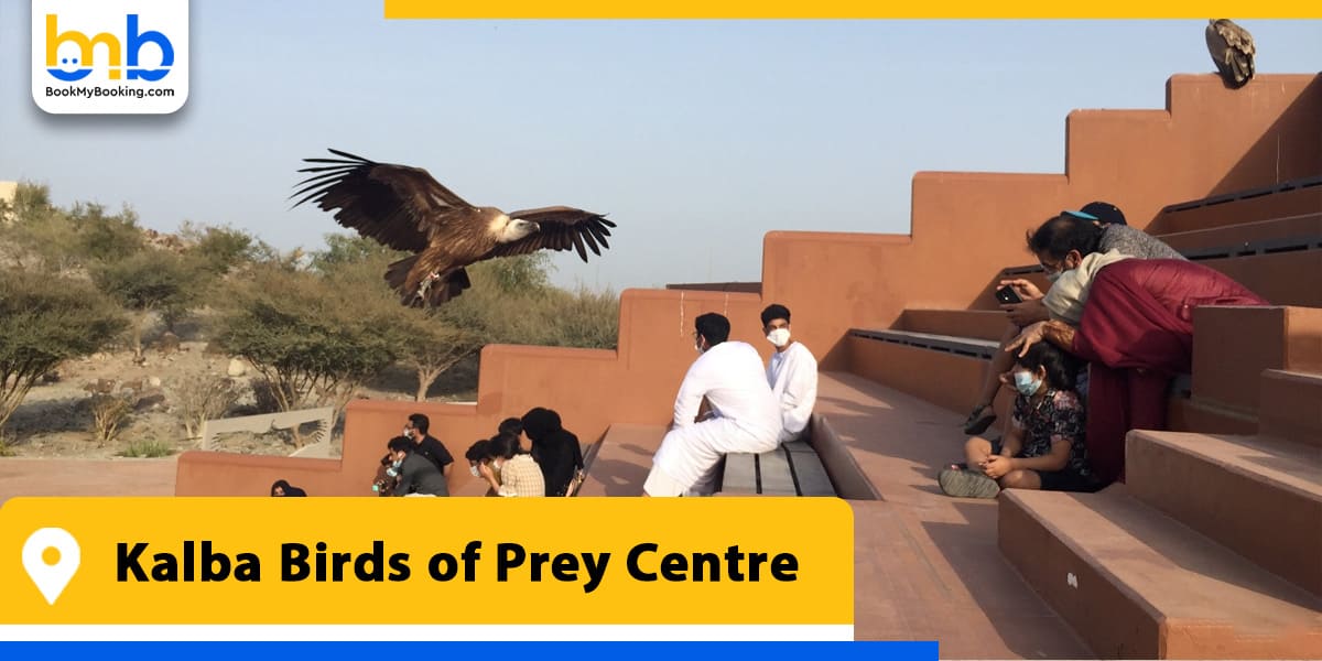 kalba birds of prey centre from bookmybooking