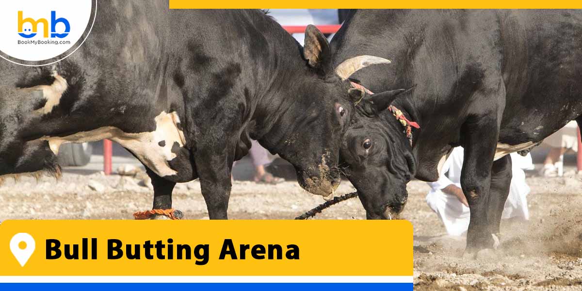 bull butting arena from bookmybooking