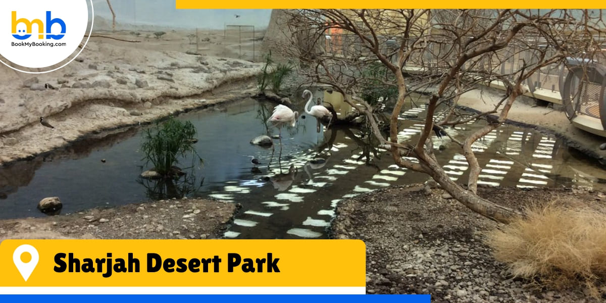 sharjah desert park from bookmybooking