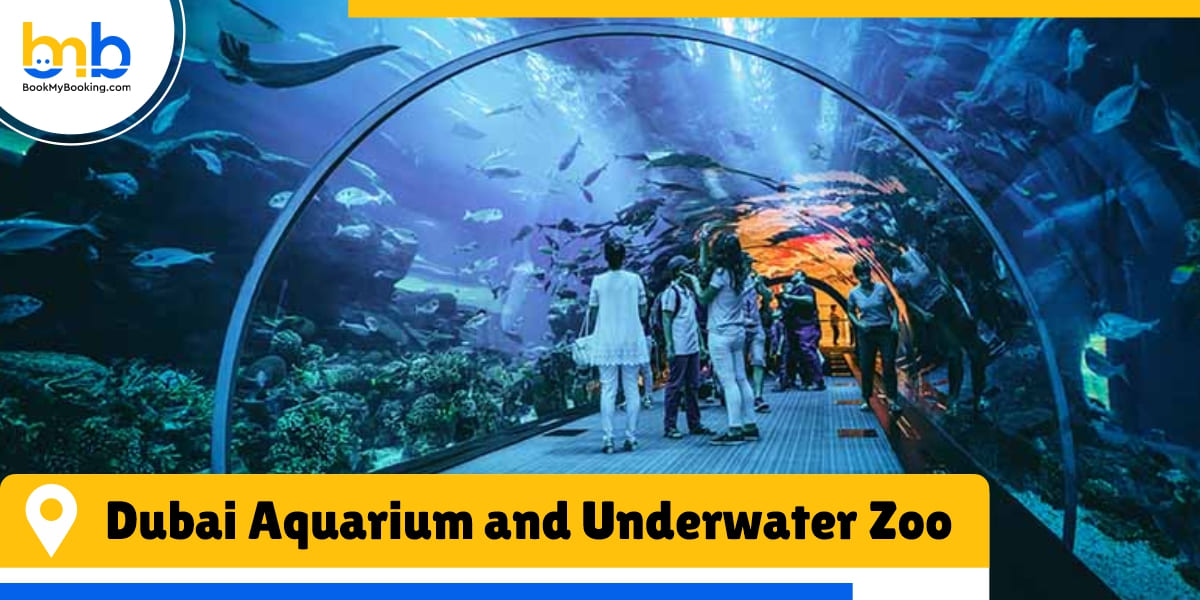 dubai aquarium and underwater zoo from bookmybooking