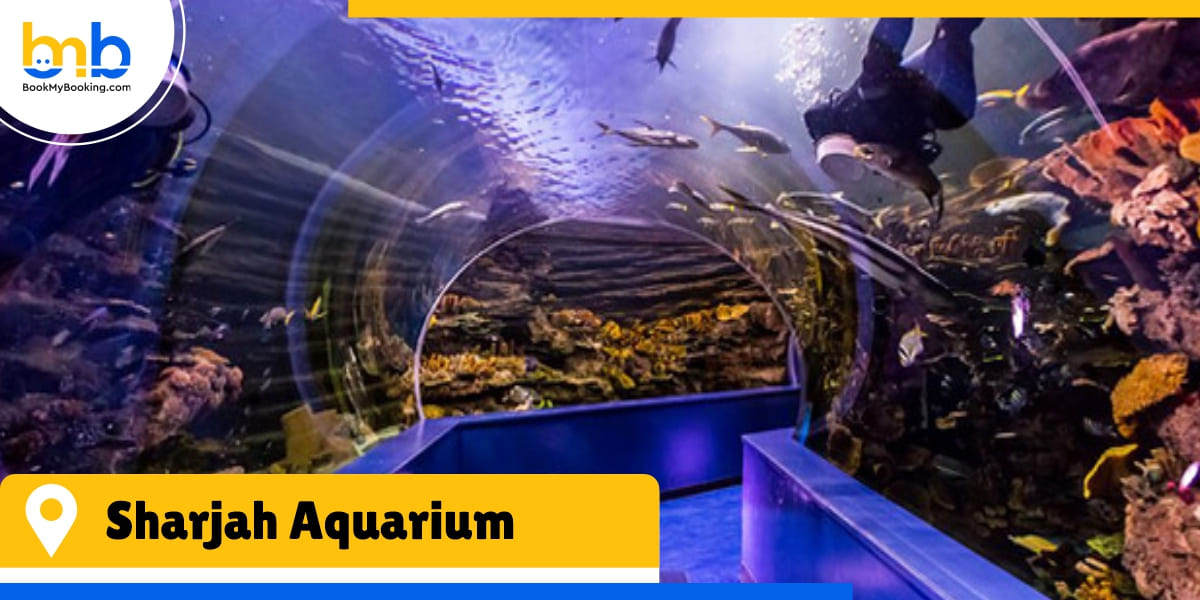 sharjah aquarium from bookmybooking
