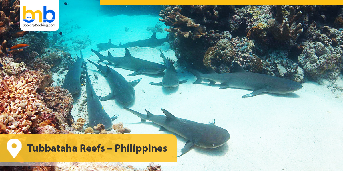 Tubbataha Reefs – Philippines