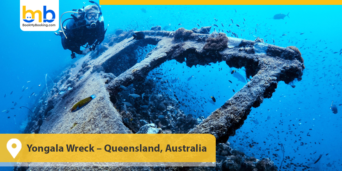 Yongala Wreck – Queensland
